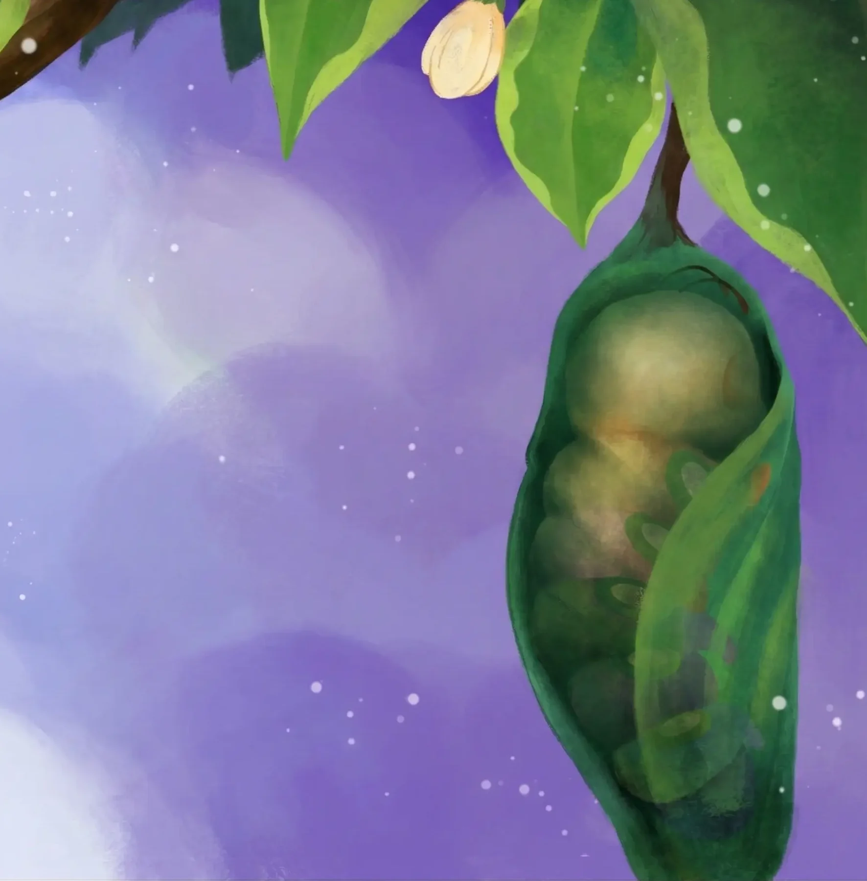 Chrysalis - Cali in transformation